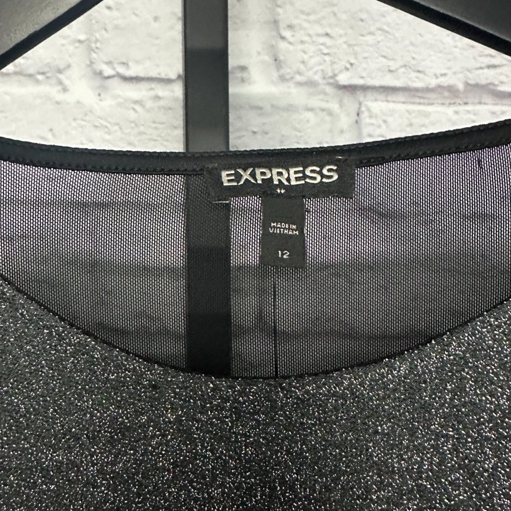 Express Sheer Shimmer Dress - NWT - Picture 3 of 5